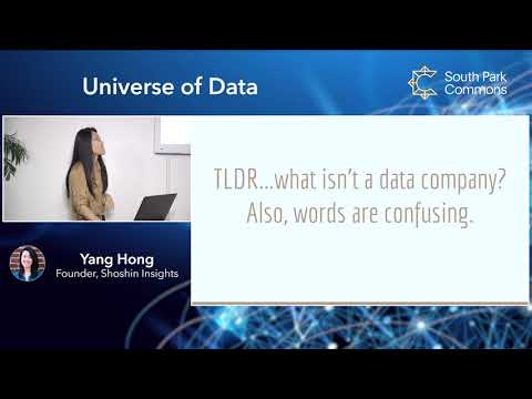 Yang Hong Maps The Universe of Data