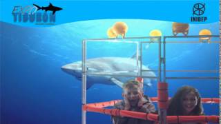 DIA 2 Expo Tiburon55