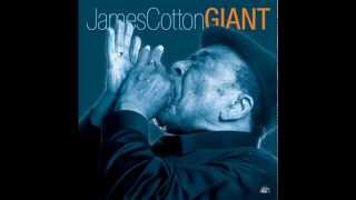 Buried Alive In The Blues by James Cotton