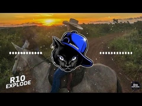 BONDE DO VAQUEIRO - CARMELITA - COM GRAVE