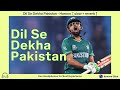 Dil Se Dekha Pakistan Haroon Slowed Reverbed