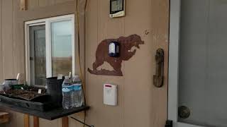 Download Lagu GBear's Off Grid Ways-a Homestead in the Desert, Jan. 26, 2019 Thumbnail