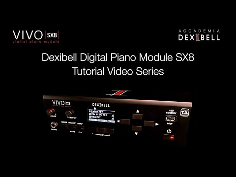 入荷未定。ご予約受付中】Dexibell/音源モジュール/VIVO SX8 ｜鍵盤