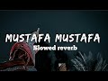 Ramadan Nasheed Mustafa Mustafa Ramzan Naat Slowed Reverb Naat By Soft Audio Gold