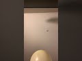 Balloon Episode 4047