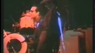 Ronnie Earl & The Broadcasters - Okie Dokie Stomp