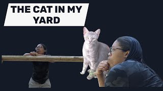 THE CAT IN MY YARD | DOCUMENTARY