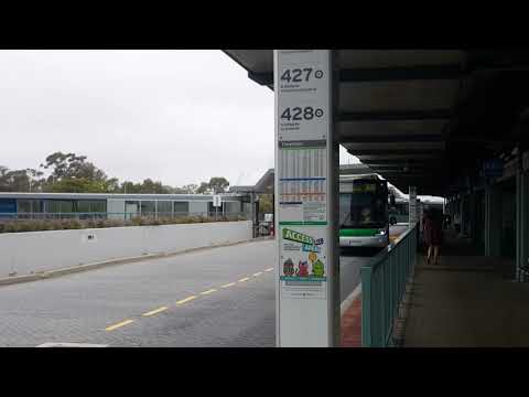 Transperth TP2571, TP2429, TP2537 & TP1897 @ Warwick Station