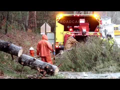 02-18-2022 Bourne, MA-  Cape Cod- Large Tree Down- Winds Gusting 55+ Mph - DPW Crews
