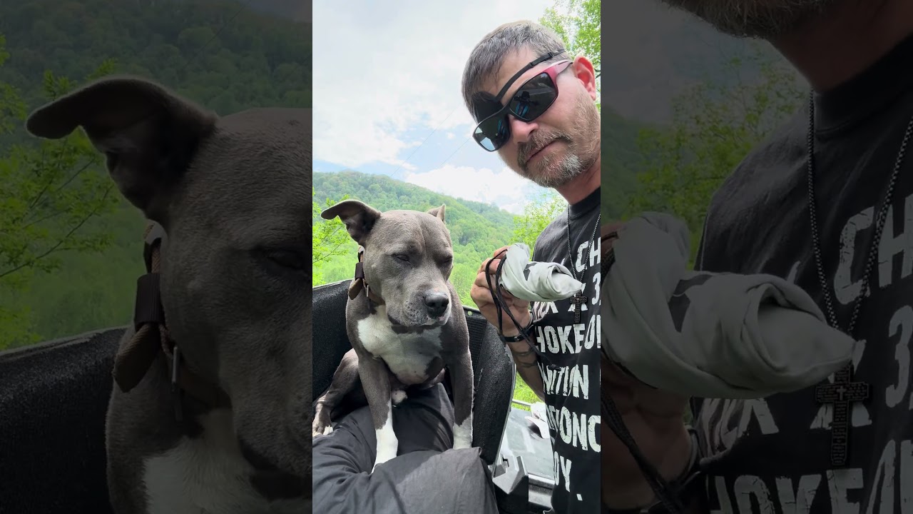 We are looking to hit the TAT this year! Talk about an epic adventure! #dog #pitbull #bikelife