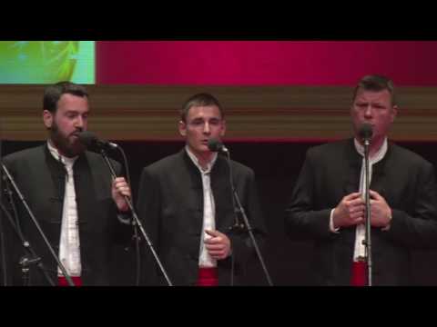 Klapa Cambi Split - Vilo moja (live HNK Split 2016)