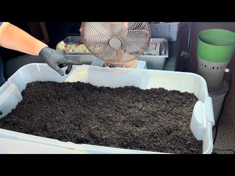 Dealing With A LOT of Castings All at Once.