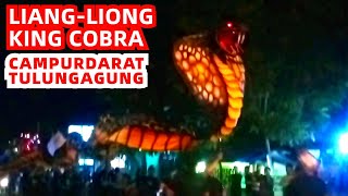 preview picture of video 'Liang-liong (Leang-leong) Unik Berkepala King Cobra Ramaikan HUT RI ke-73 di Tulungagung'