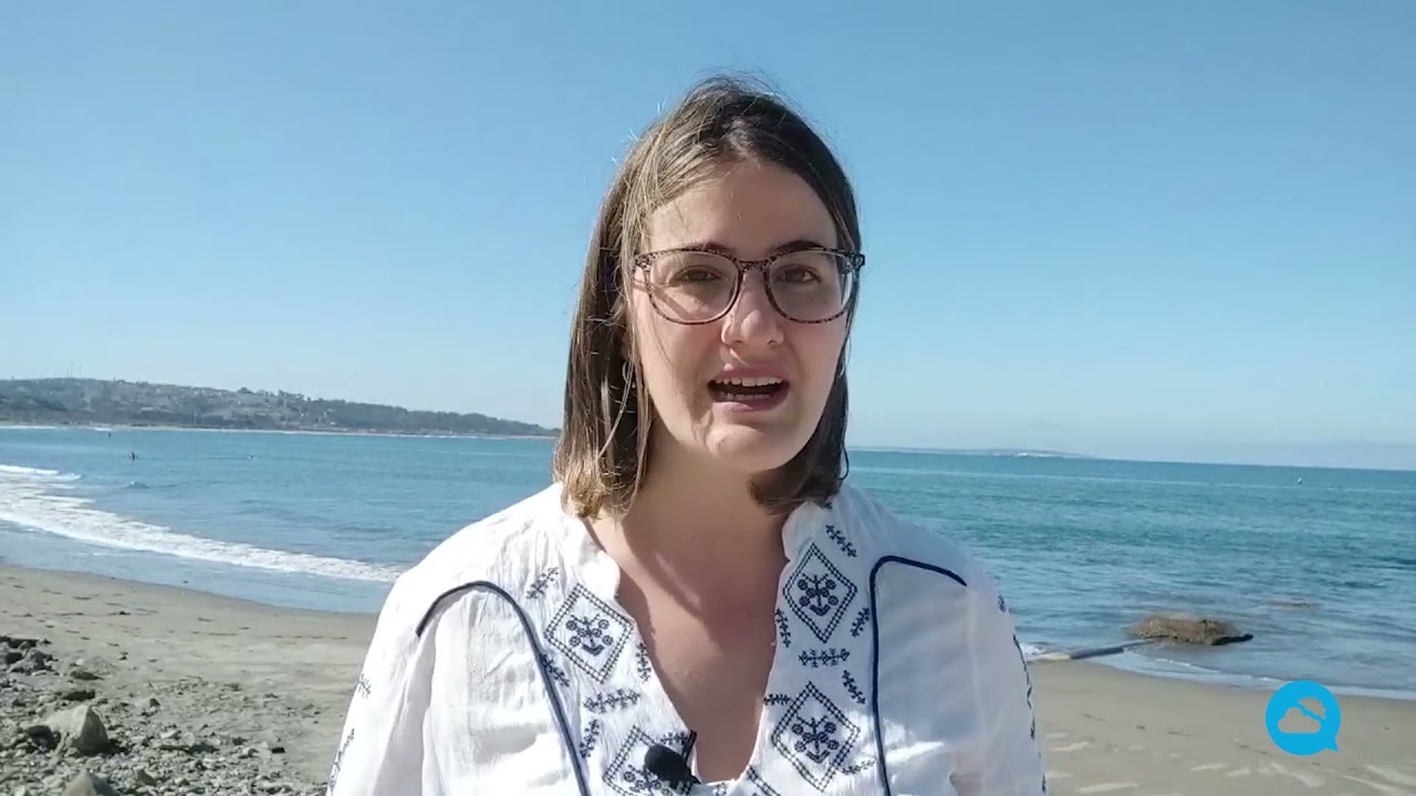 youtube video id=EZdl4rGNzA4