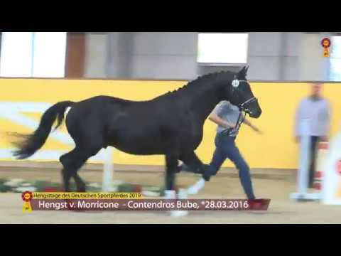 KN 75: Morricone x Contendros Bube