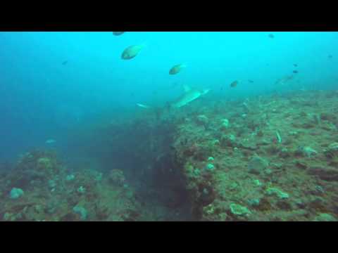 Phil Narcosis Palm Beach Drift Dive 3-15-2015 www.reverbnation.com/philnico