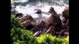 COMO LA MAREA -alberto cortez