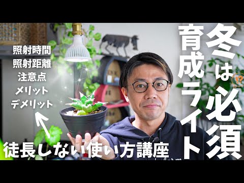 園芸 園芸用照明システムの使用