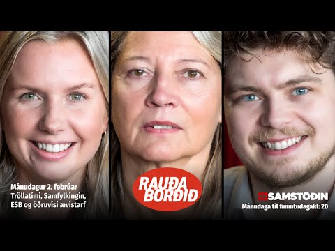 Tröllatími, Samfylkingin, ESB og öðruvísi ævistarf