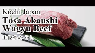 How to cook a superb wagyu steak, with Tosa Akaushi wagyu beef