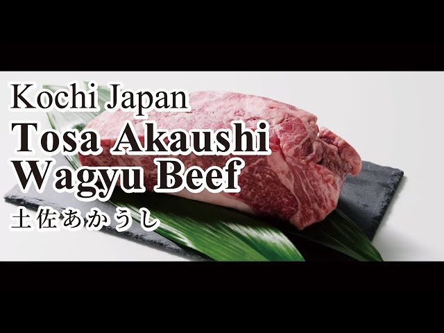 How to cook a superb wagyu steak, with Tosa Akaushi wagyu beef