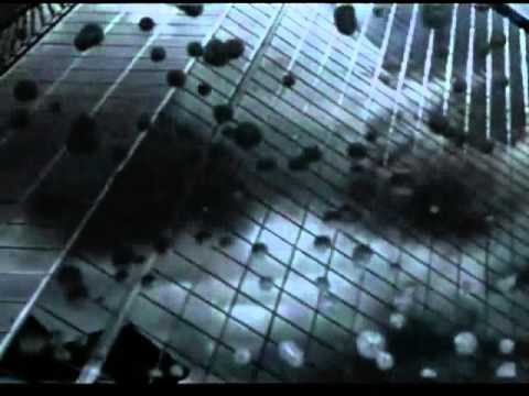 Six Day Truce Promo Vid