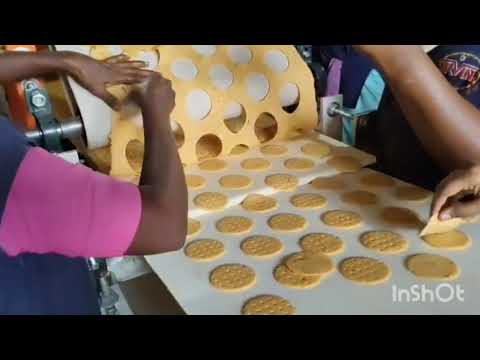 Nippattu Making Machine