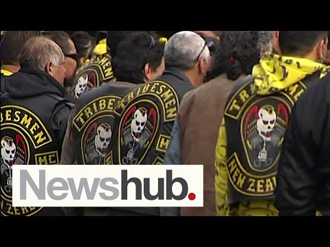 NZ gang violence: Police 'disgusted' by spate of gun crimes in Killer Beez, Tribesmen turf war