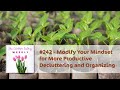 Modify Your Mindset For More Productive Decluttering And Organizing The Clutter Fairy Weekly 242