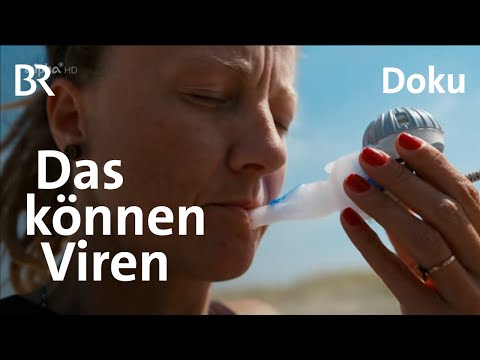 Was ist gut an Viren? | Wissens-Doku | Gut zu Wissen | Doku | BR