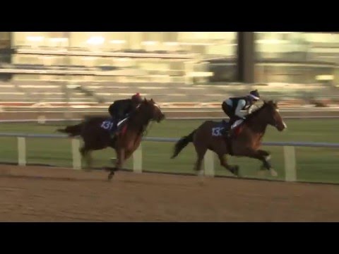 Niels Petersen og Rune Haugen i Dubai