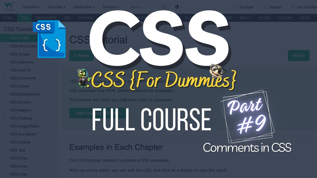 CSS Full Course 09 - How to use CSS Comments | Writing Comments in CSS | CSS Tutorial for Beginners