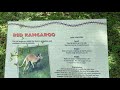 Detroit Zoo Visit Pt 3