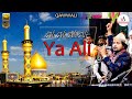Ali Ali Ali Ali Ya Ali Pukaro To Ali Ko Faheem Ghulam Waris