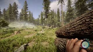 Sons of the Forest: how to get bird feathers easily -- arrow farming