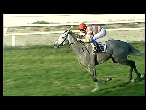 Napoli Galoppo 23/01/2022 - 4ª corsa