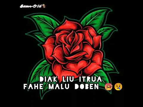 TOY MALACK - - -NOI DULAS IBUN TAFUI KABEEN🤒🌹
