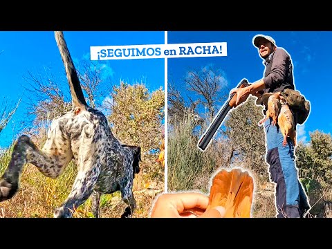 🔥¡𝗗𝗶𝗳í𝗰𝗶𝗹 𝗱𝗲 𝗰𝗿𝗲𝗲𝗿!🔥 Cazando perdices nos pasan cosas alucinantes😲