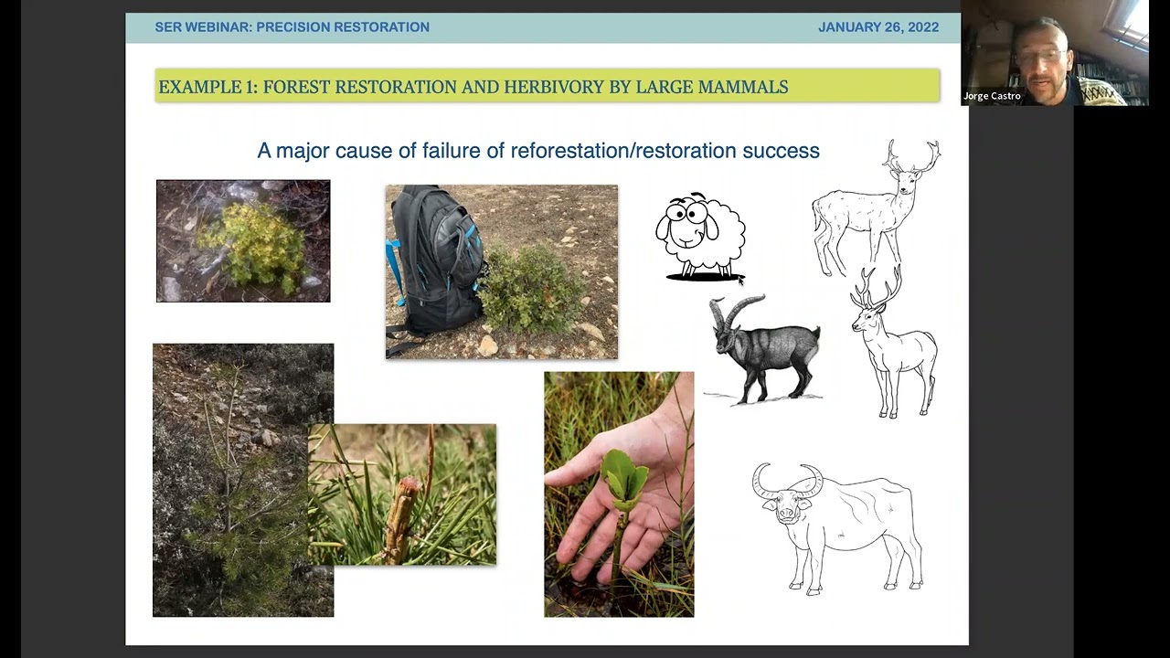 Precision Restoration: A Necessary Approach to Forest Recovery