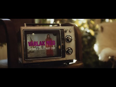 DR BRS x Zalatnay Cini  - Várlak még #zalatnaycini #drbrs #varlakmeg