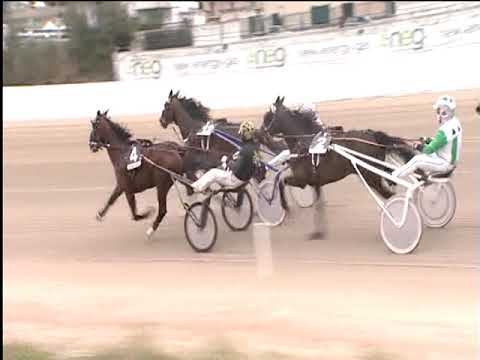 Trotto 19/03/2019 - 5ª corsa