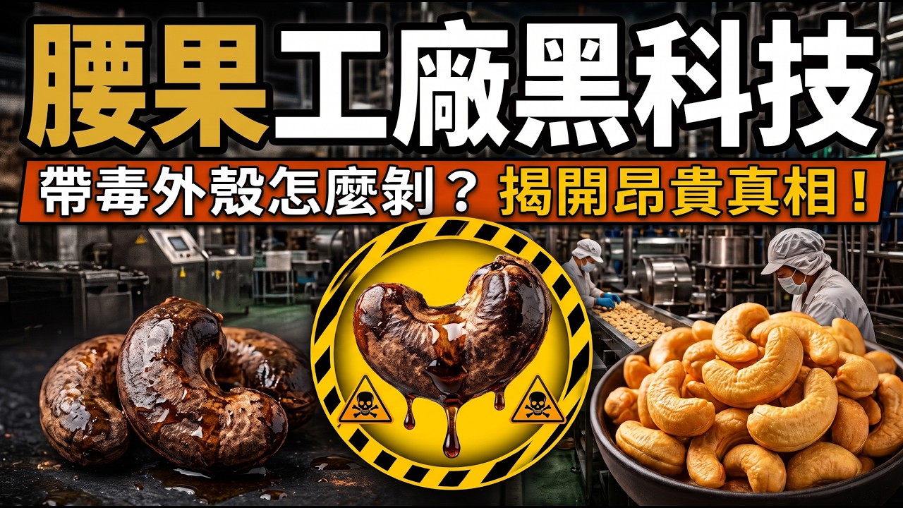 💸萬萬沒想到！比花生貴七倍的「堅果之王」，竟是一枚掛在樹上的化學武器！ 🌳💣#腰果的真相#堅果大揭秘#食物黑科技#超級後廚#生活冷知識#美食背後的真相#驚人冷知識#爆款科普#食物工業流水線#全球