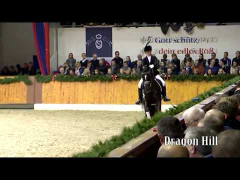 Dragon Hill deutsch 2016