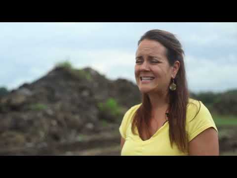 Gestion de l'eau - ruissellement en milieux agricoles