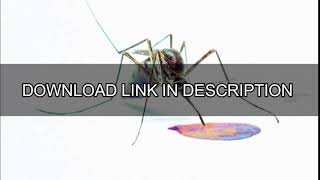 Cane Hill - Too Far Gone (ALBUM FREE DOWNLOAD)