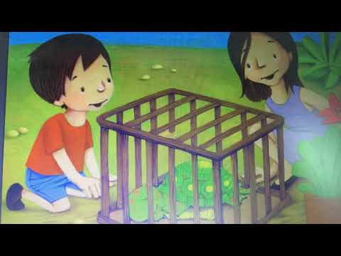 The Turtle And The Flute