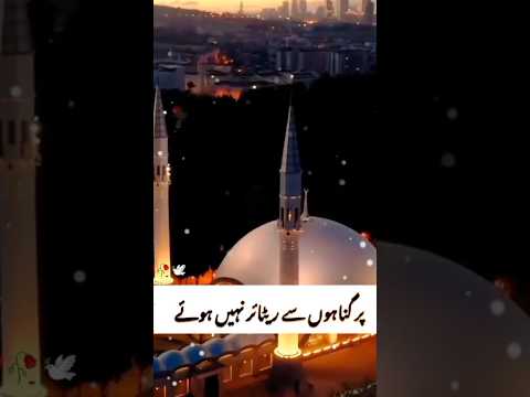 ✨ Top 5 Most Beautiful Mosques in the World | Peer Ajmal Raza Qadri’s Spiritual Message #bluemosque