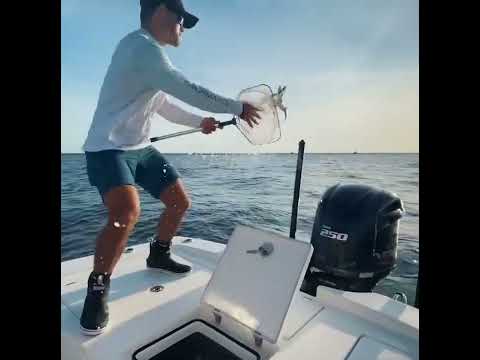 Epic Islamorada Fishing Frenzy!   Lobster, Mahi Tuna, Grouper Catch and Clean Cook | #shorts