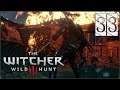 The Witcher 3: Wild Hunt: Дикая страсть #33 