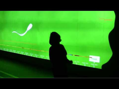 Science Center Dynamikum -  Footrace Tunnel